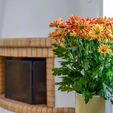 Daphne's Place - Private With Pool In Naxos Semesterbostad *